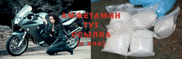 стафф Семилуки