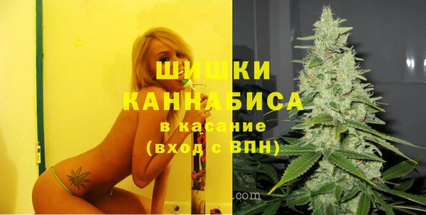 ECSTASY Грязи