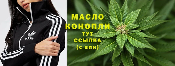 ECSTASY Грязовец